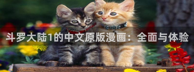 noreason漫画完整版漫蛙