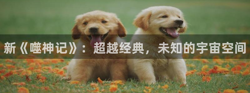 漫蛙平板下载：新《噬神记》：超越经典，未知的宇宙空间
