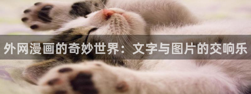漫蛙manwa漫画官网网址：外网漫画的奇妙世界：文字与图片的交响乐