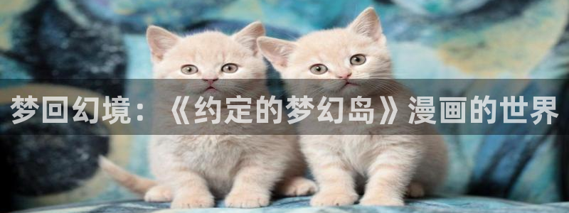 漫蛙网页入口免费阅读：梦回幻境：《约定的梦幻岛》漫画的世界