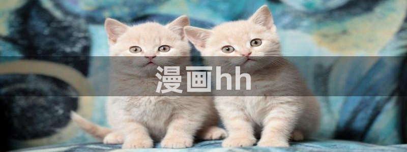 漫蛙漫画腐宅漫画：漫画hh